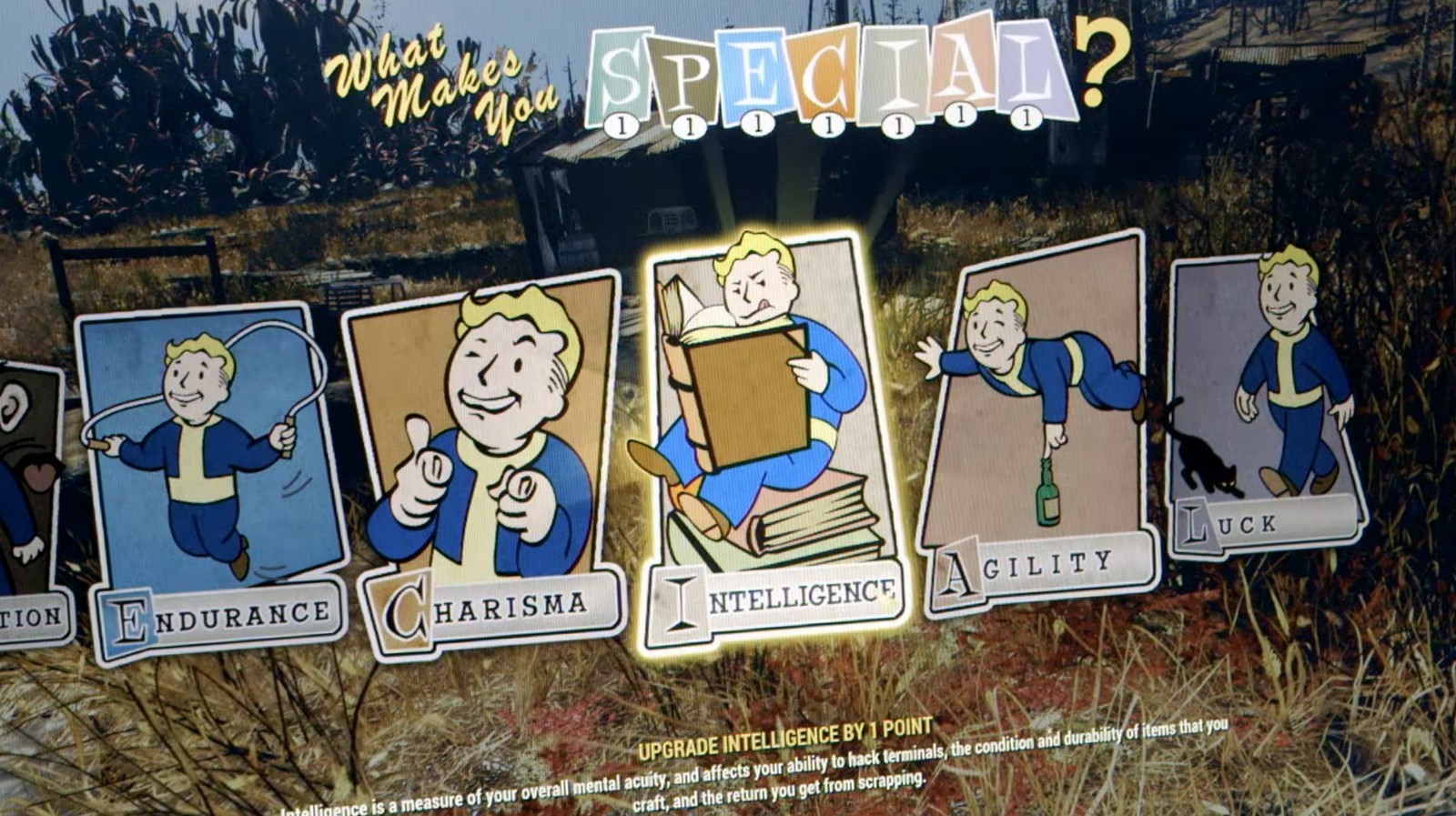 Special systeem fallout 76